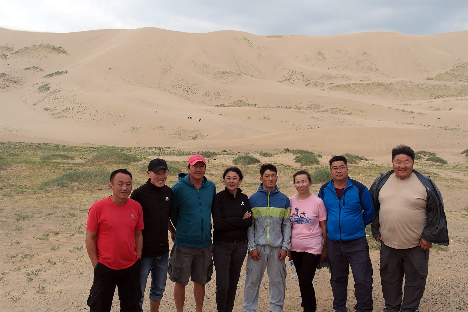 About us 31 staff 246 1