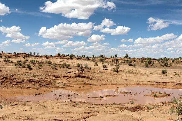 Camel 600x400 002