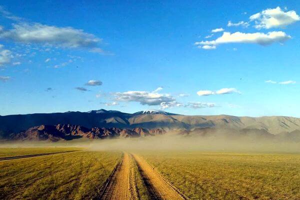 Camel 600x400 009