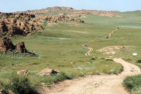 Camel 600x400 014