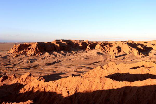 Camel 600x400 016