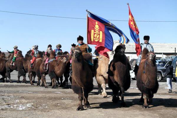 Camel 600x400 020