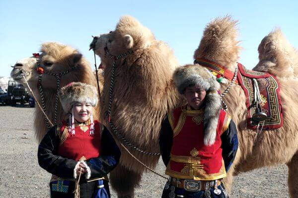 Camel 600x400 025