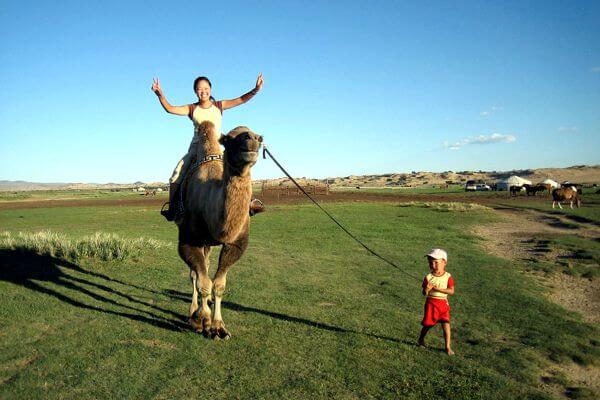 Camel 600x400 057