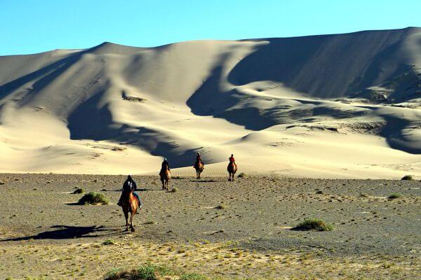 Amazing Camel Trek