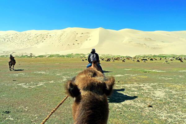 Camel Treks
