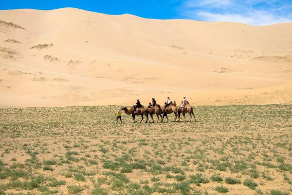 Camel 600x400 066