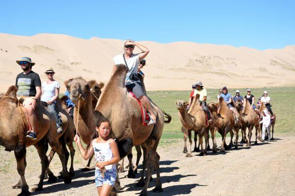 Camel 600x400 068