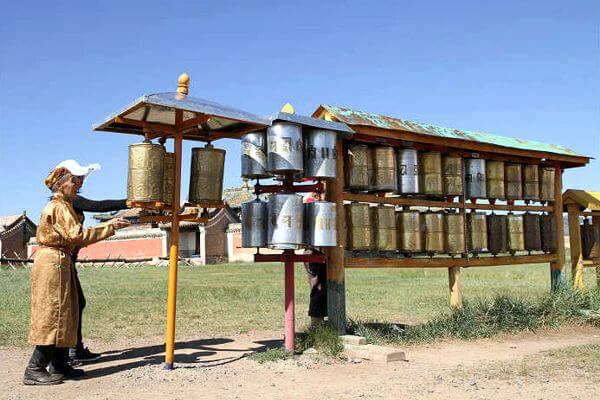 Camel 600x400 144