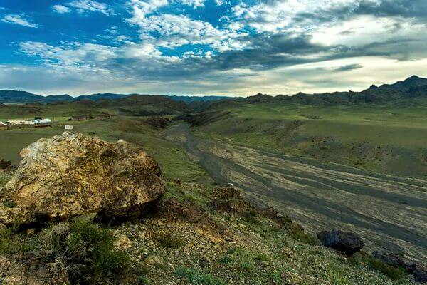 Camel 600x400 185
