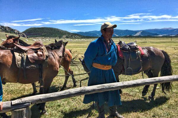 Camel 600x400 202
