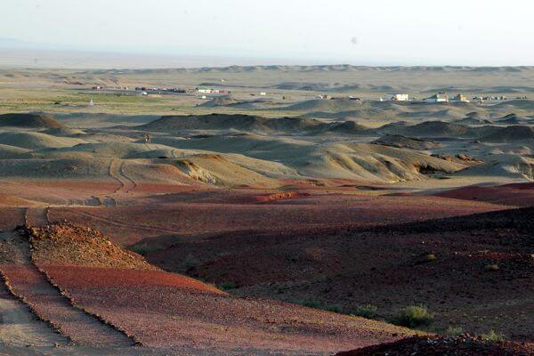 Camel 600x400 250