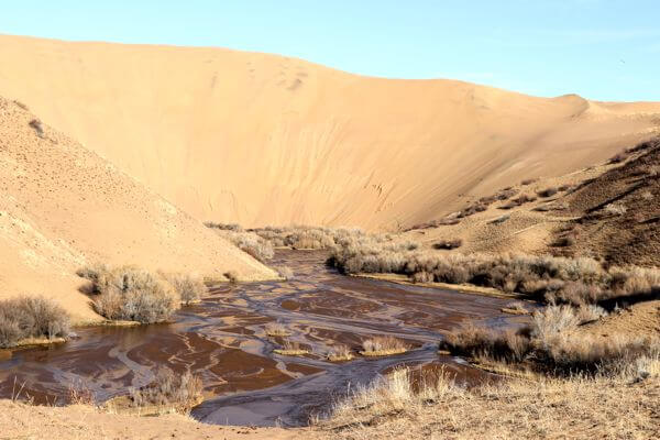 Oasis in Mongolian Desert