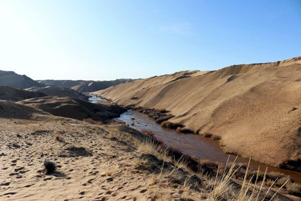 Desert Oasis